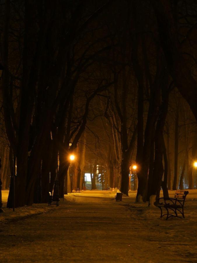 Dom Goscinny Orange Висова-Здруй Номер фото